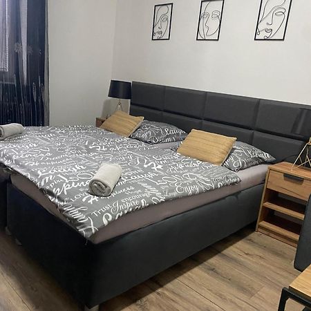 Cerna Ruze - Apartman 4 Plzeň Dış mekan fotoğraf