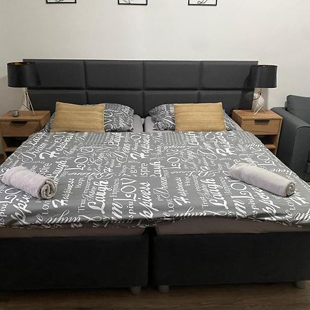 Cerna Ruze - Apartman 4 Plzeň Dış mekan fotoğraf