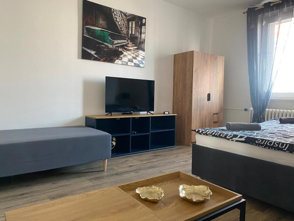 Cerna Ruze - Apartman 4 Plzeň Dış mekan fotoğraf