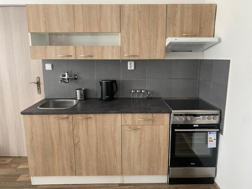 Cerna Ruze - Apartman 4 Plzeň Dış mekan fotoğraf