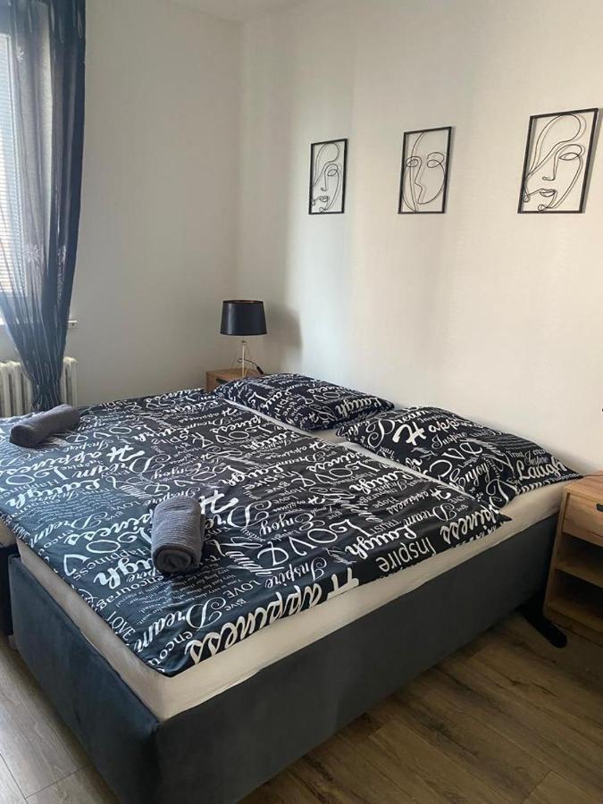 Cerna Ruze - Apartman 4 Plzeň Dış mekan fotoğraf
