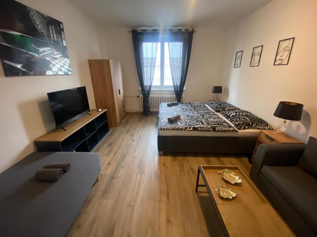 Cerna Ruze - Apartman 4 Plzeň Dış mekan fotoğraf