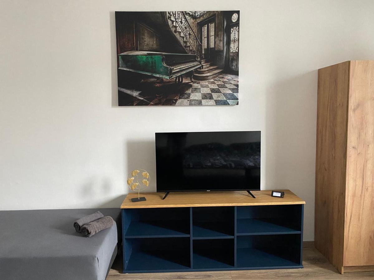 Cerna Ruze - Apartman 4 Plzeň Dış mekan fotoğraf
