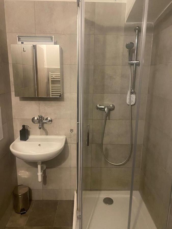 Cerna Ruze - Apartman 4 Plzeň Dış mekan fotoğraf